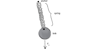 Spring physics